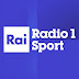 Nasce Radio 1 Sport, il nuovo canale tematico di Radio Rai