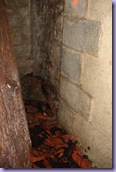 mini_DSC07886