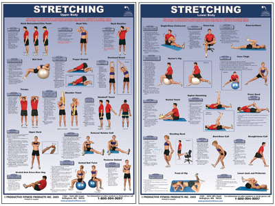 STRETCHING TYPES, BASKETBALL TRAINING AND DEVELOPMENT IT.