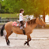 Horse-riding can improve children's cognitive ability