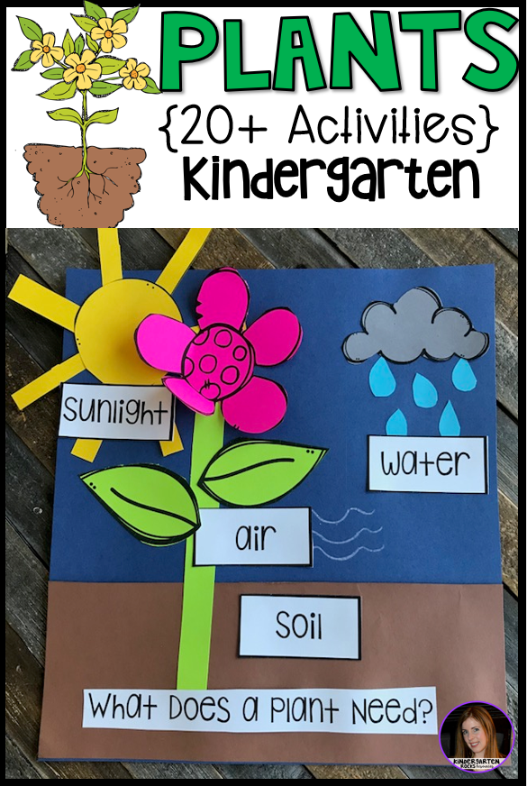 plant activities writing crafts science lessons and