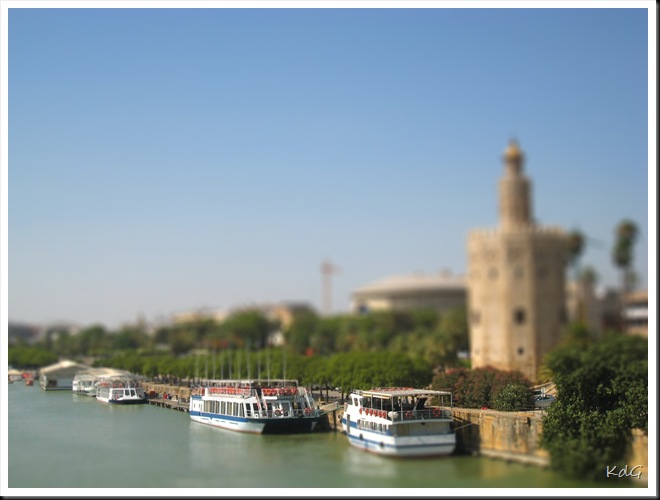 IMG_0167-tiltshift