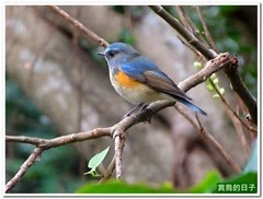 20131119_130800_1262_YehLiu