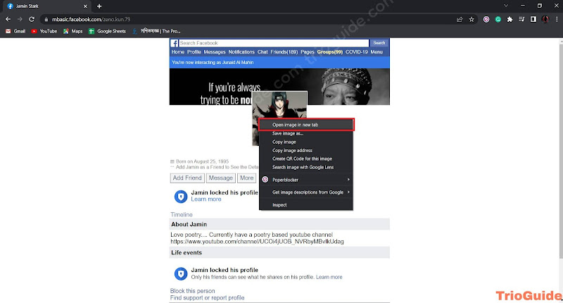Using the browser on a computer to see a locked profile picture on Facebook