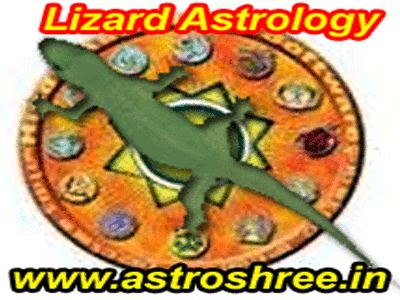 Lizard Astrology and Flutter Astrology