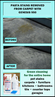 Best Carpet Cleaning Solution