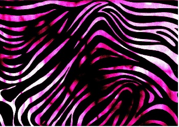 Zebra Wallpaper on The Wallpaper Backgrounds       Zebra Wallpaper