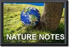 NatureNotes