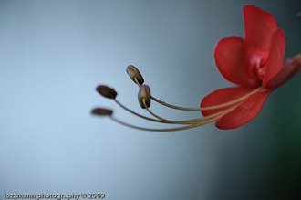 LT3_07498-Edit