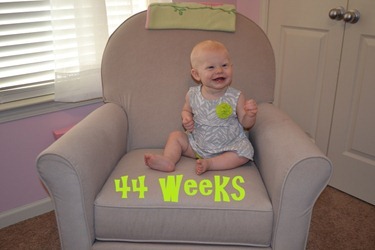 week 44