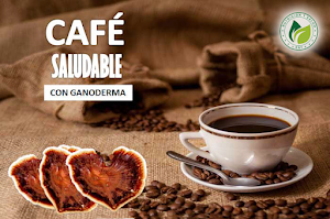 Dxn Cafe con Ganoderma