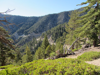 View south from Dawson Saddle Trail