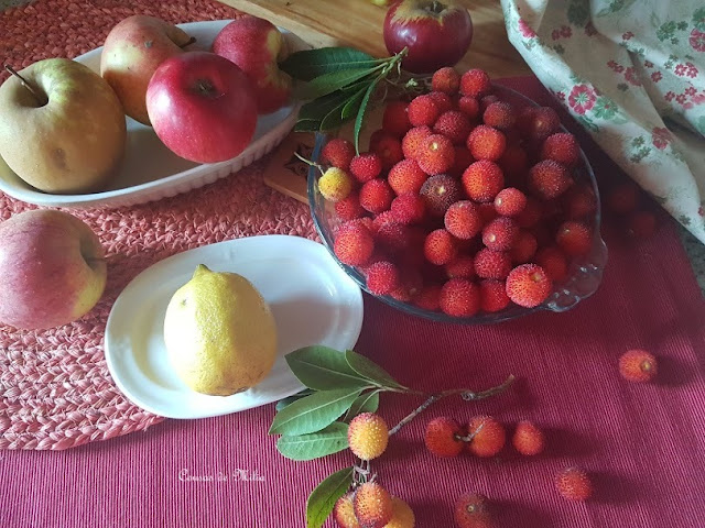 Mermelada de manzanas y madroños