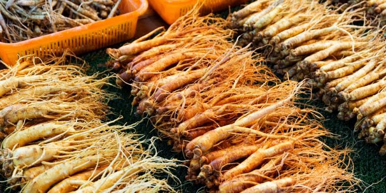 29+ Harga Tanaman Ginseng Korea