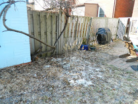 Spring Garden Cleanup Before in The Junction by Paul Jung Gardening Services a Toronto Gardening Company