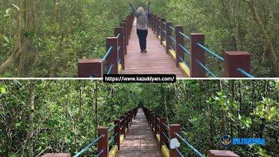 Mangrove Park of Panabo - Things to Do Best Place Kazukiyan Travel Guide