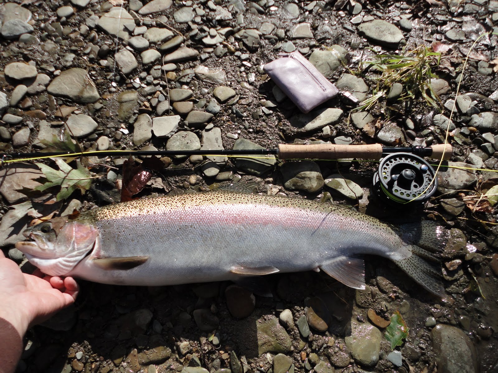 The Slippery Trout: A Fly Fishing Blog: March 2011