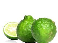 வயிற்றில் உள்ள புழுக்கள் மற்றும் புண்ஆறுவதற்க்கு