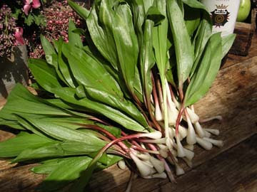 ramps-360.jpg (360×270)