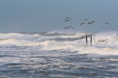 Aggressive, active waves following a hurricane