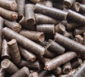 Use Efb Pellet As Renewable Energy Image
