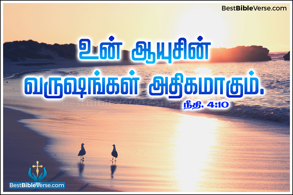 Latest Tamil Bible Study Words Online in Tamil Font 