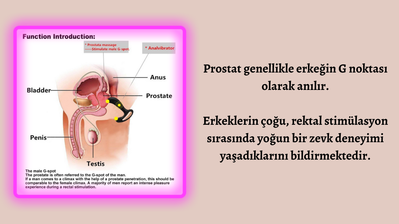 Erkeklerde G Noktaları