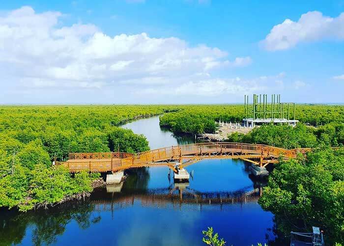 Hutan Mangrove Langsa Tiket Masuk 2020 Dan Aktivitas Terbaru Traveling Medan
