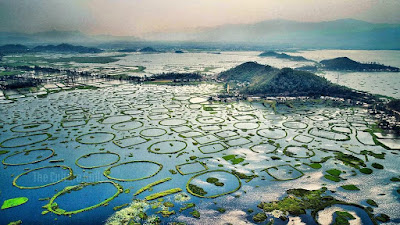 Loktak lake, lake in manipur, lake in india, freshwater lake in india, largest freshwater lake in india, freshwater lake in world, largest floating freshwater lake in world, phumdi lake, Keibul Lamjao National Park, lake in north east india