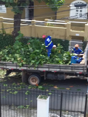 Coelba retira galhas de árvores que ameaçavam cair na Rua Maracás 