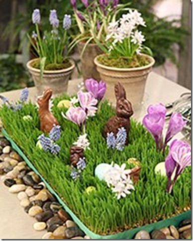 marthastewart