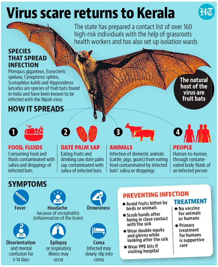 تنبيه في الهند لفيروس نيباه القاتل: هذه أعراضه وكيفية انتشاره