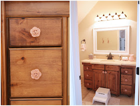 Rustic Girl Bathroom Anthropologie Rose Knobs TJ Maxx Mirror