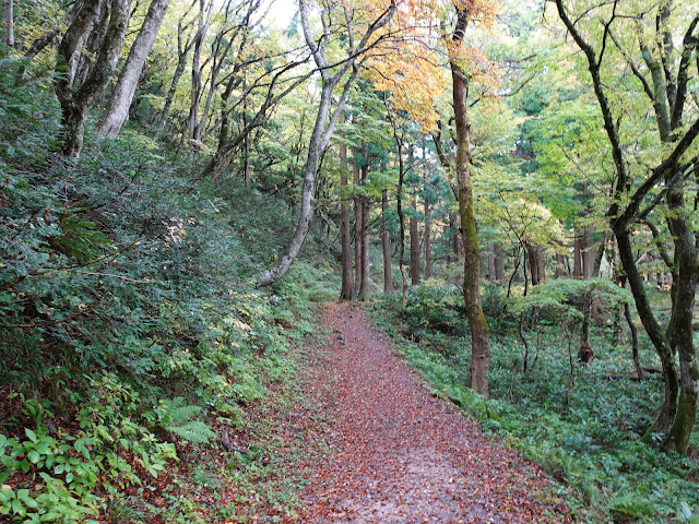 寂静山の山頂から降りる