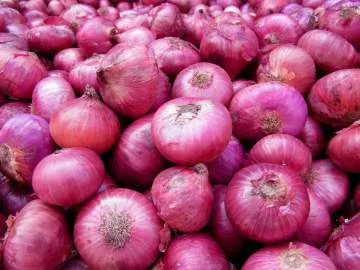 Onion Market Today Ghodegaav