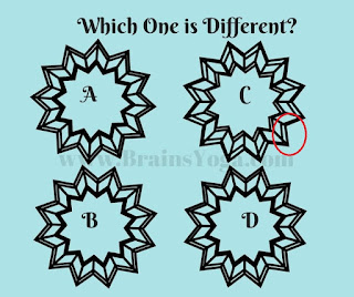 Answer of Odd Picture Out Visual Puzzle