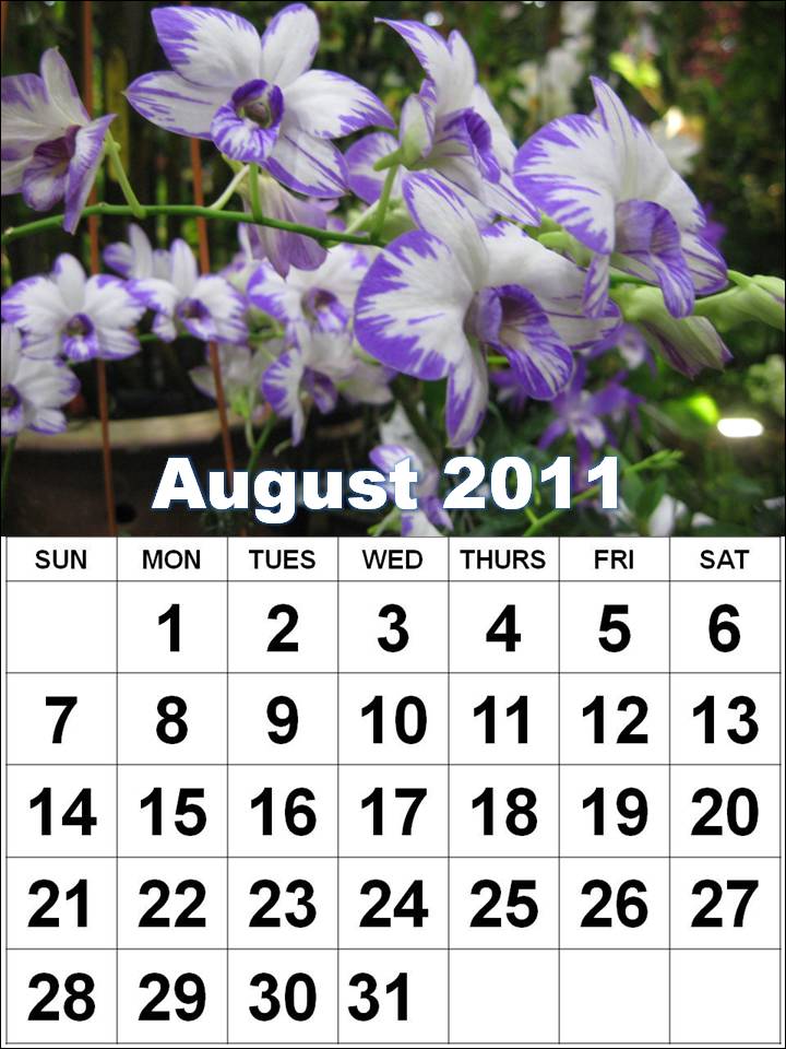 2011 calendar nz. printable julian calendar 2008