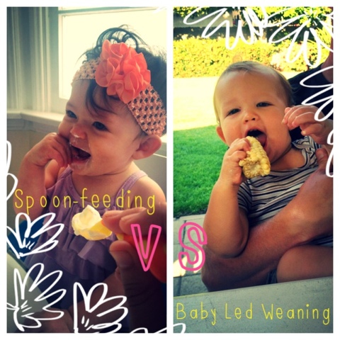 Baby Led Weaning vs spoon feeding