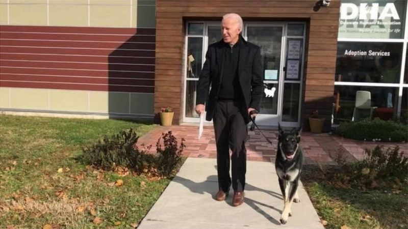 Biden suffers "mild" fractures of his foot while playing with his dog: US 2020 elections