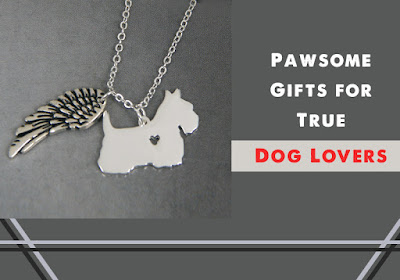 https://www.bestvetcare.com/?utm_source=blog&utm_medium=seo&utm_campaign=Pawsome-Gifts-For-True-Dog-Lovers