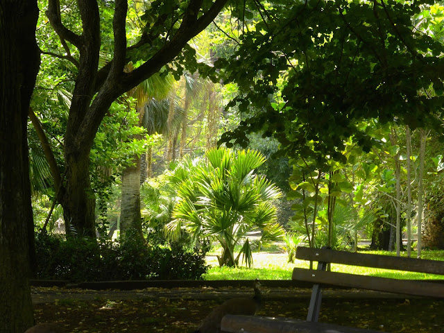 Lisbona-Jardim-Botanico-Tropical