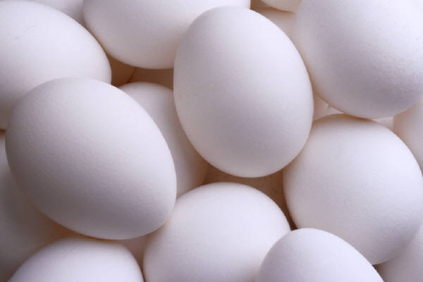Tips trik aman sehat makan telur sehari berapa kali.