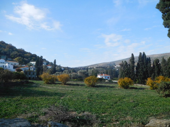 Τα κίτρινα φύλλα του χειμώνα