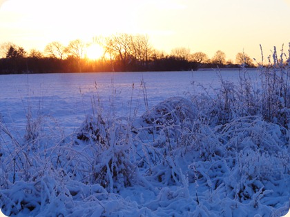 Solnedgang