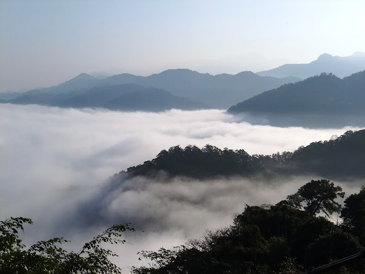 大山背農園的雲海