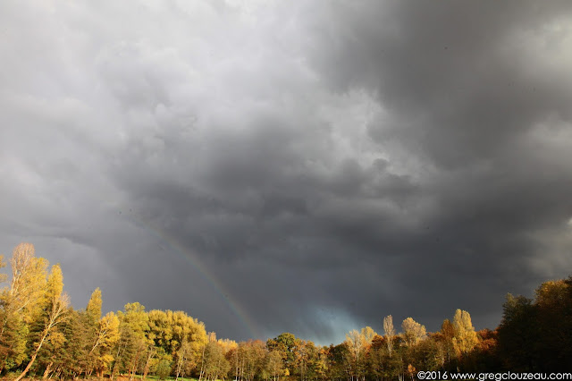 Arc-en-en-ciel, Base de loisirs de Bois le Roi, (C) 2016 Greg CLOUZEAU