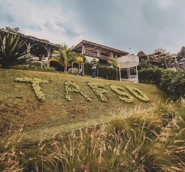 Tafso Coffee With View Lembang Lokasi