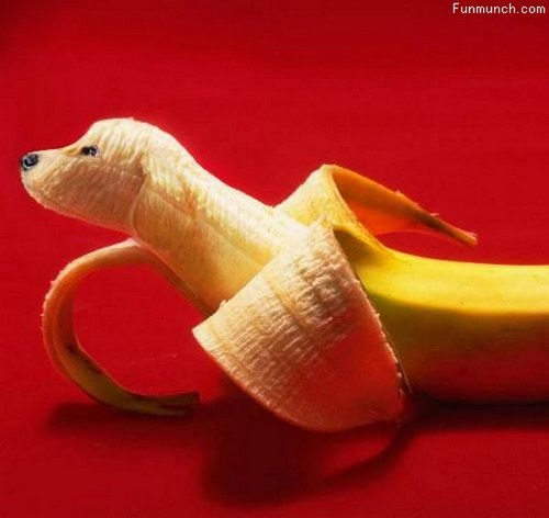 Funny Banana Art  13 Pics