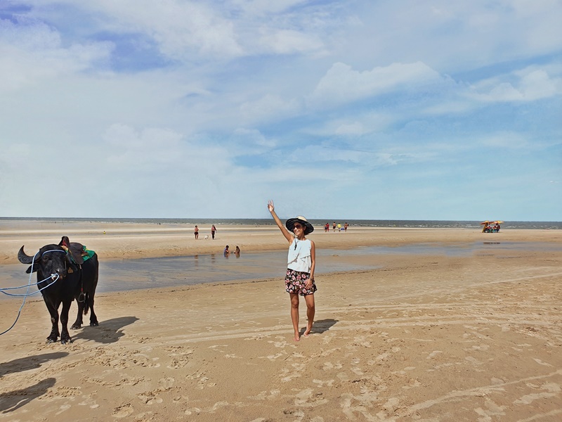 Ilha de Marajó passeio