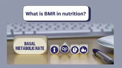 What is BMR in Nutrition? Understanding Your Body’s Energy Needs